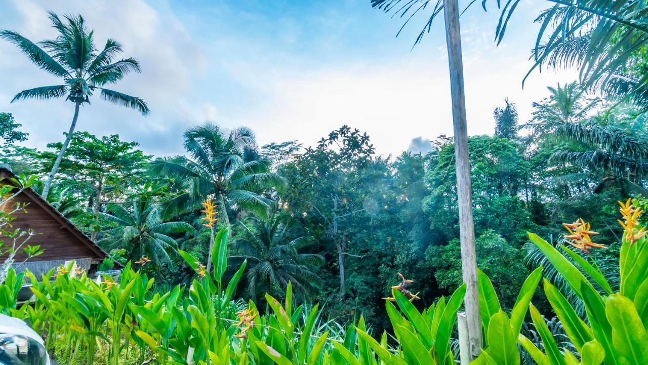 Iyume Villas Tegallalang  Luaran gambar