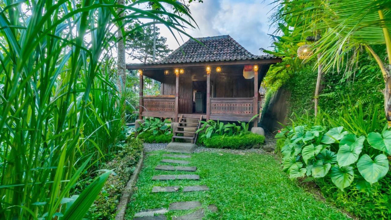 Iyume Villas Tegallalang  Luaran gambar